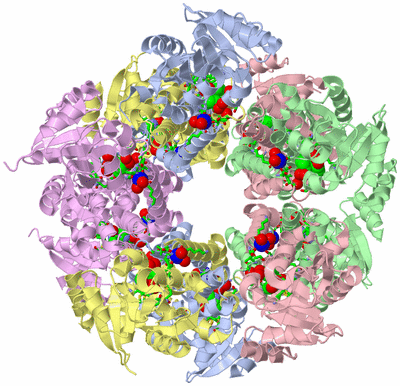 Image Biol. Unit 1 - sites