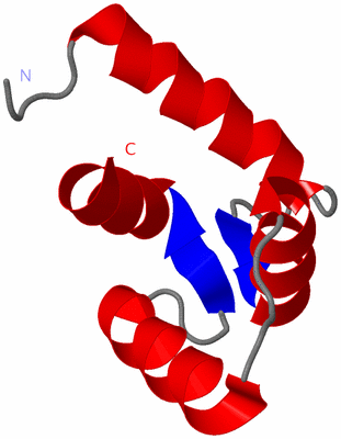 Image NMR Structure - model 1