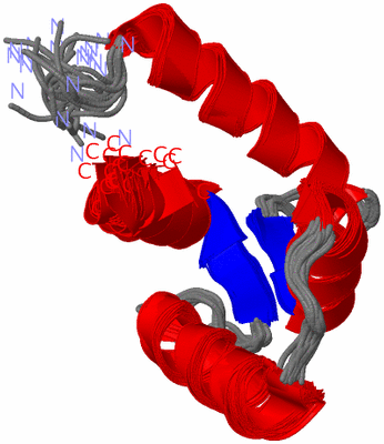 Image NMR Structure - all models