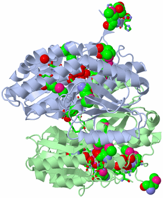 Image Asym./Biol. Unit - sites