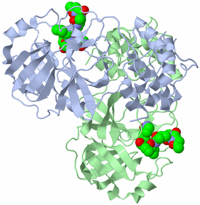 Image Asym./Biol. Unit