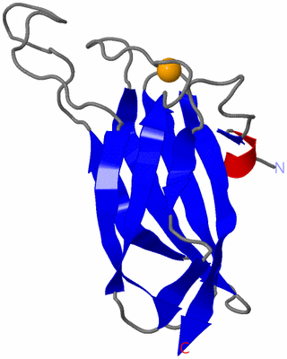 Image Asymmetric Unit