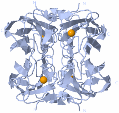 Image Biological Unit 2