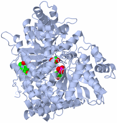 Image Biological Unit 2