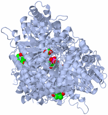 Image Biological Unit 3