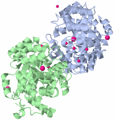 Image Asym./Biol. Unit