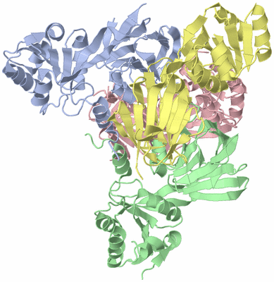 Image Asymmetric Unit