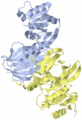 Image Biological Unit 1