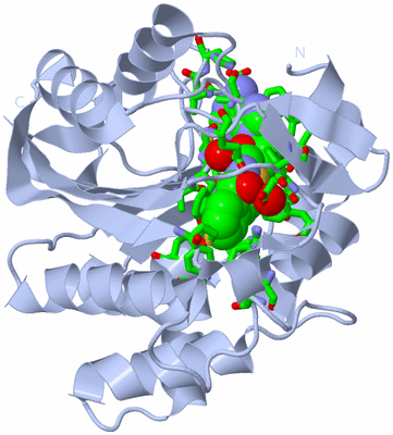 Image Biol. Unit 1 - sites