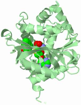 Image Biological Unit 2