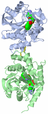 Image Biological Unit 3