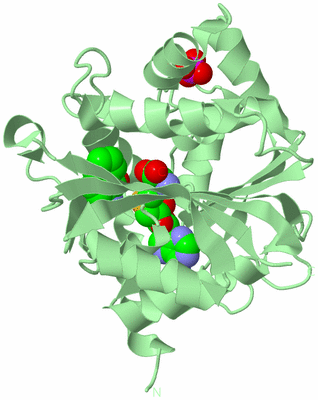 Image Biological Unit 2