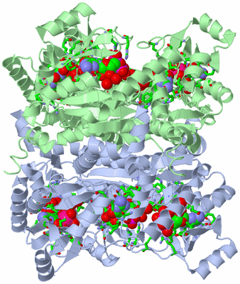 Image Biol. Unit 1 - sites