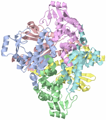 Image Asym./Biol. Unit