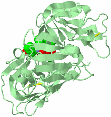 Image Biological Unit 2