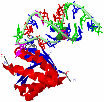 Image Asym./Biol. Unit