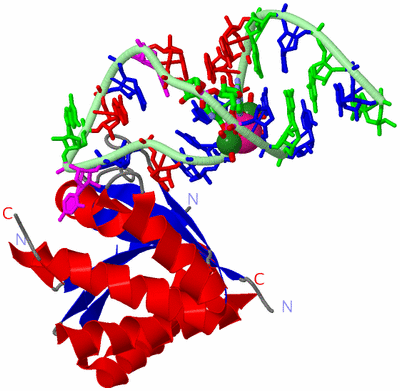 Image Asym./Biol. Unit - sites