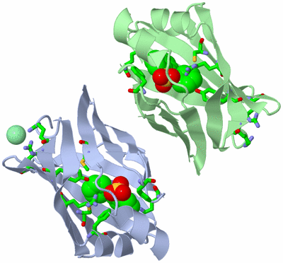 Image Asym./Biol. Unit - sites