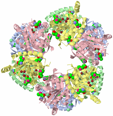 Image Biological Unit 1