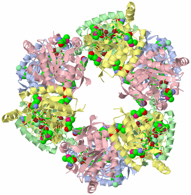 Image Biol. Unit 1 - sites