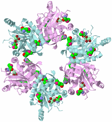 Image Biological Unit 2