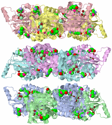 Image Biological Unit 3