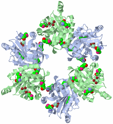 Image Biological Unit 4