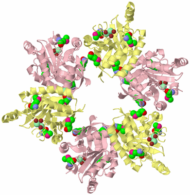 Image Biological Unit 5