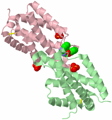 Image Biological Unit 2