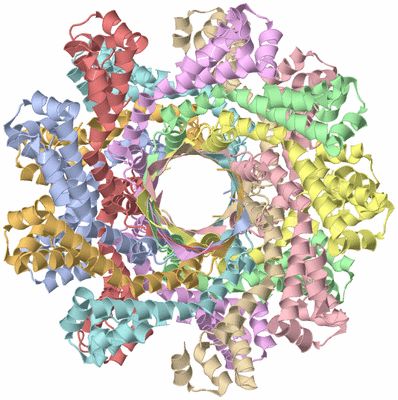 Image Biological Unit 1