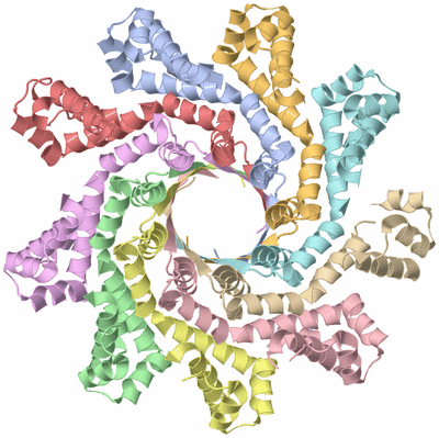 Image Biological Unit 2