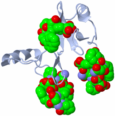 Image Biological Unit 1