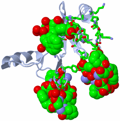 Image Biol. Unit 1 - sites