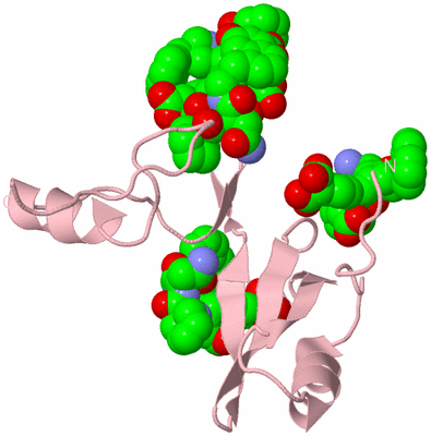 Image Biological Unit 3