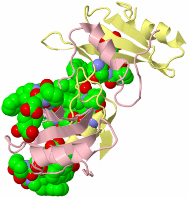 Image Biological Unit 5