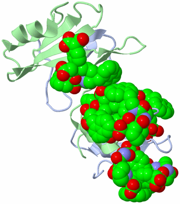 Image Biological Unit 6