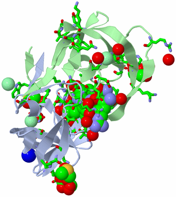 Image Asym./Biol. Unit - sites