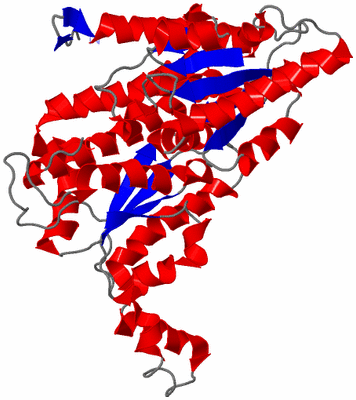 Image Theoretical Model