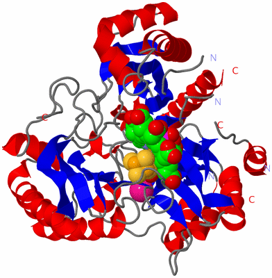 Image Asym./Biol. Unit