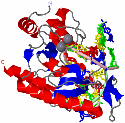 Image Asym./Biol. Unit