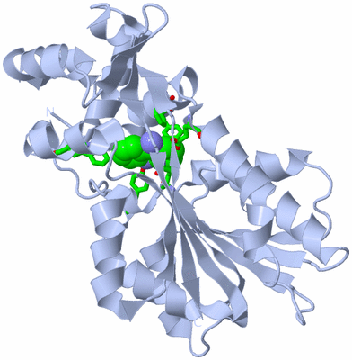 Image Biol. Unit 1 - sites