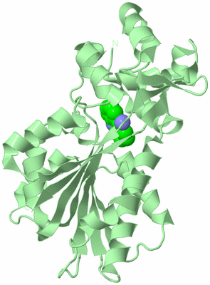 Image Biological Unit 2