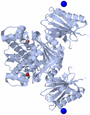 Image Biological Unit 2