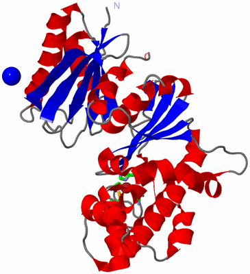 Image Asym. Unit - sites