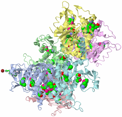 Image Asym./Biol. Unit - sites