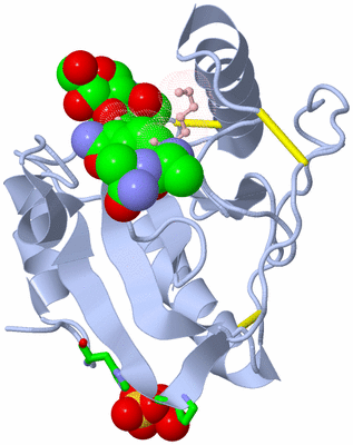 Image Biol. Unit 1 - sites