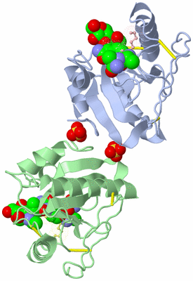 Image Biological Unit 3