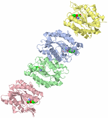 Image Asymmetric Unit