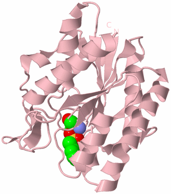 Image Biological Unit 3