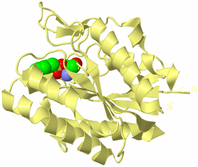 Image Biological Unit 4
